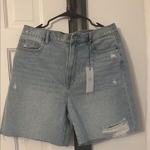 Vici Blue Jean Shorts with Distressed Details